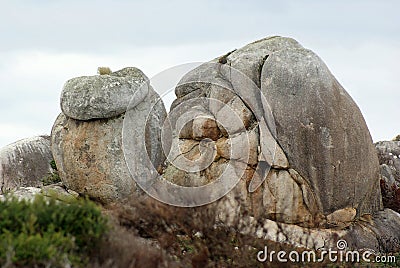 Rock Shapes Tasmania Stock Photo