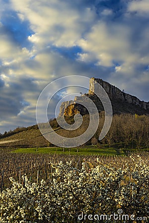 Rock of Solutre with vineyards, Burgundy, Solutre-Pouilly, France Stock Photo