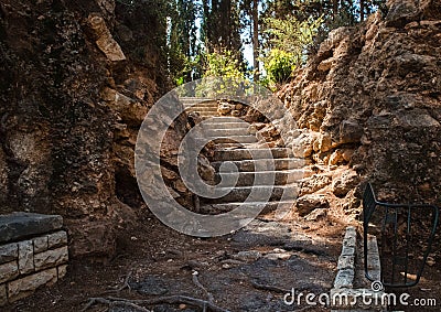 Rock stairs in botany park Stock Photo