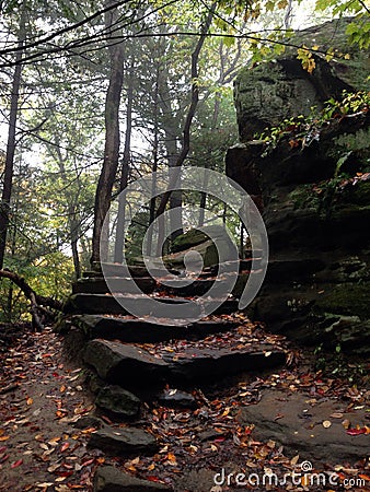 Rock Stairs curving into the woods Stock Photo