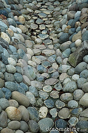 Rock streambed Stock Photo
