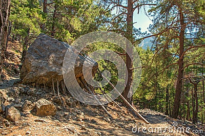 Rock supported by wood sticks in Samaria Gorge on Crete Stock Photo