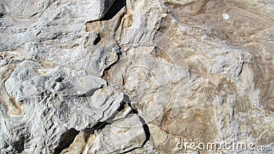 Rock texture Stock Photo