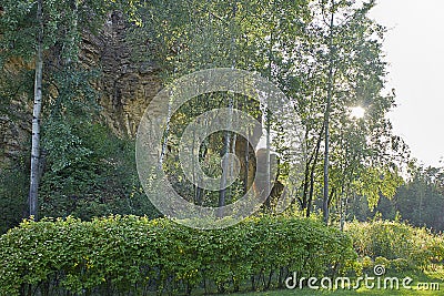 Rock, trees and bushes Stock Photo