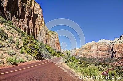 Rock, Trees, Roadway Zion National Park Stock Photo