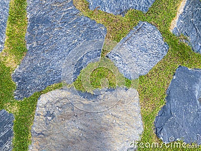 Rock walkway with grass in park Stock Photo