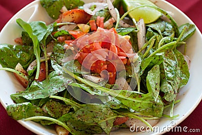 Rocket salad, lebanese food. Stock Photo