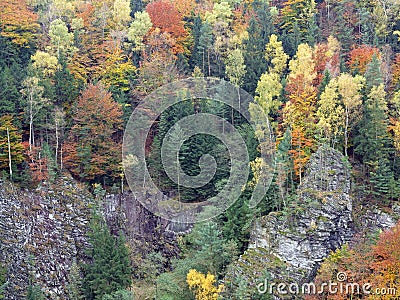 Rocks in the autumn forest Stock Photo