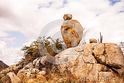 Cashew stone, Natunal balance. Stock Photo