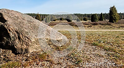 Rocks in front of a heath landscape with juniper bushes, relic of the ice age in Europe Stock Photo