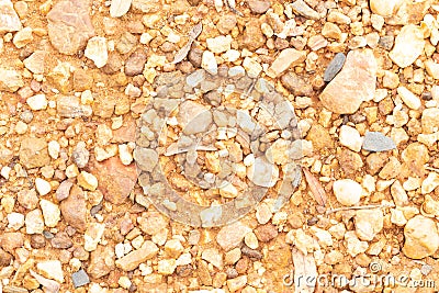 Rocks on the ground Stock Photo