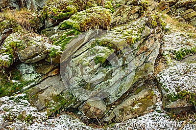 Rocks overgrown with moss, a harsh climate in winter Stock Photo