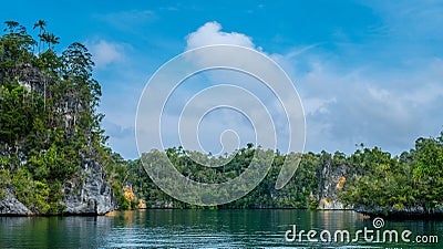 Rocks overgrown with Palmtrees in Hidden Bay on Gam Island near Kabui and Passage. West Papuan, Raja Ampat, Indonesia Stock Photo