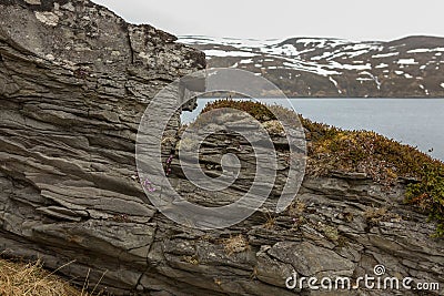 The rocks on the seashore Stock Photo