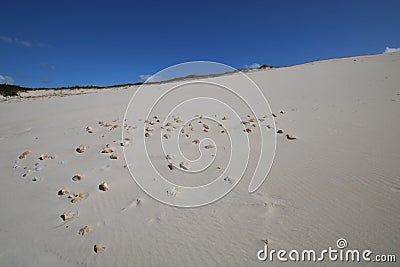 Rocks strewn in the sand of a large dune Stock Photo