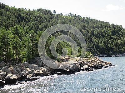 Rocks and trees along the coast of the Oslofjord, Norway Stock Photo