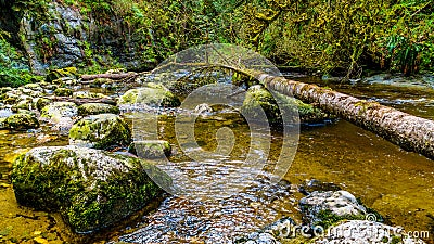 Rocks, trees and boulders in the Salmon habitat of the fast flowing Kanaka Creek Stock Photo