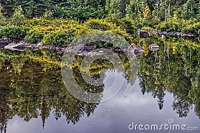Rocks, trees and bushes in complete reflection - current river, , Thunder Bay, ON, Canada Stock Photo