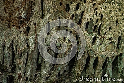 Rocky area of natural caves in the Colombian Amazon Stock Photo