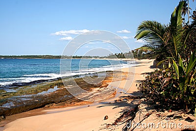 Rocky beach Stock Photo