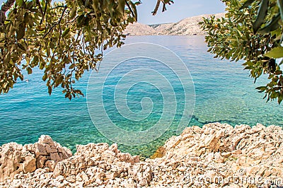 Rocky beach with bushes and tree branches and crystal clear blue Stock Photo