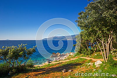 Rocky beach with pine trees on coast of Adriatic Sea, Istria, Croatia Stock Photo