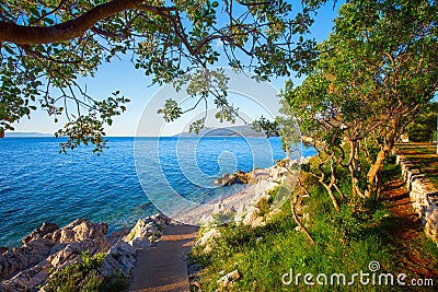 Rocky beach with pine trees on coast of Adriatic Sea, Istria, Croatia Stock Photo