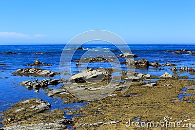 Rocky coast at Kaikoura Peninsula, New Zealand Stock Photo