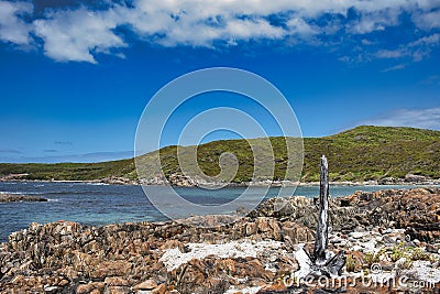 Rocky coast, a large whale bone and hills covered with coastal heathland, Australia Stock Photo