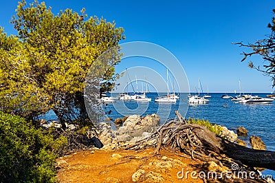 Rocky coast with woods of Ile Saint Honorat island of Abbaye de Lerins monastery offshore Cannes in France Editorial Stock Photo