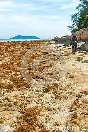 Rocky island coastal scenery during low tide at Besar Island or Pulau Besar in Mersing, Johor, Malaysia Editorial Stock Photo