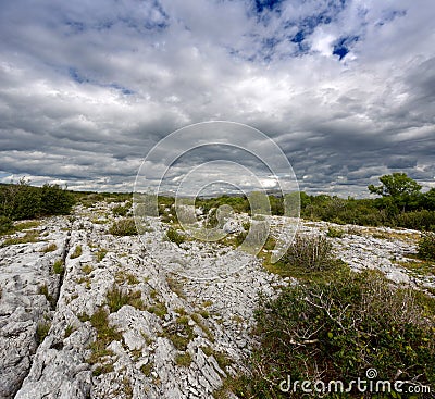 Rocky landscape of The Burren in County Clare, Ireland Stock Photo