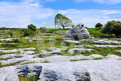 Rocky landscape of the Burren with boulder and limestone fields, Ireland Stock Photo