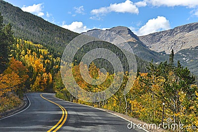 Rocky Mountain Aspen Stock Photo