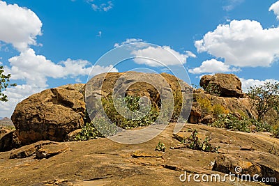 Rocky mountain hill in african savanna bush Stock Photo