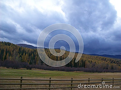 Rocky mountain tamaraks in fall storm building Stock Photo