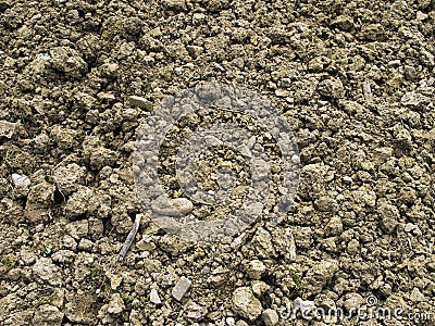 Rocky poor garden soil background Stock Photo