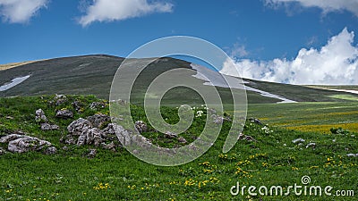 Rocky rocks show through the green grass. Alpine meadows. Stock Photo