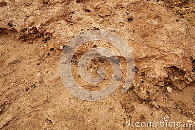 The rocky sea coast of the atlantic ocean as a backdrop. Stock Photo