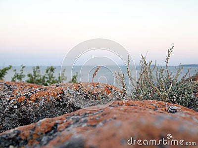 A fragment of rock, old natural stone covered with black lichen and moss, on a blurred sea background. Stock Photo