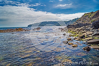 The shallow seaweed sea laps at the rocky Dorset shore Stock Photo