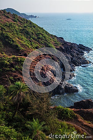 Rocky shore of the ocean with palm trees Stock Photo