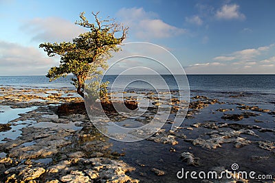 Rocky Shoreline Stock Photo