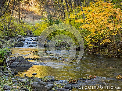 Rocky stream in autumn Stock Photo