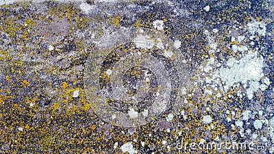 Rocky texture with yellow and white lichens, cement surface Stock Photo