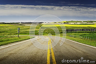 Urban sprawl as developments are built on farmlands and Canola Fields with heavy machinery Editorial Stock Photo
