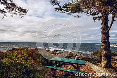 Rocky wild coast of the Atlantic Ocean. USA. Maine. A small lighthouse house among the trees and a resting place Stock Photo