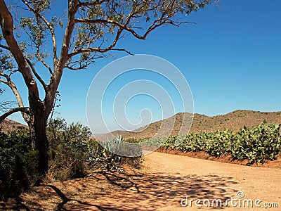 Rodalquilar- Almeria desert Stock Photo
