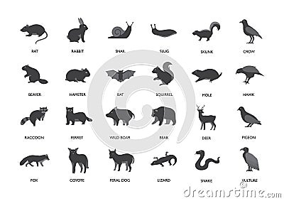 Rodents - Pests Vector Illustration