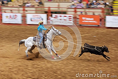 Rodeo Stock Photo